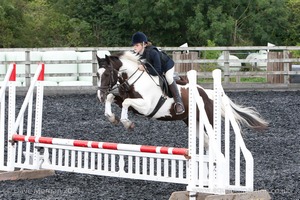 Class 5 - Fences not above 2'6